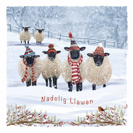 Warm Winter Woollies (Welsh) - Christmas Card (10 pack)