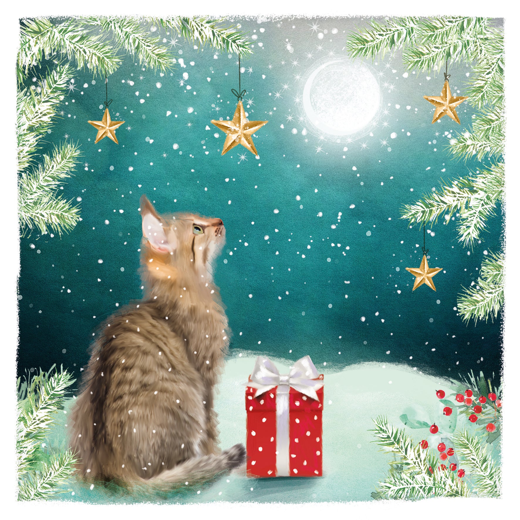 A Christmas card featuring an illustration of a cat sitting next to a red gift box with a white bow, surrounded by snow, stars, and Christmas foliage.