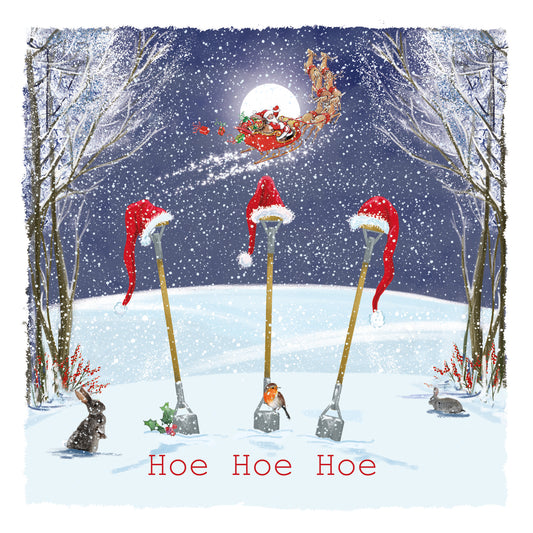 Hoe Hoe Hoe - Christmas Card (10 pack)