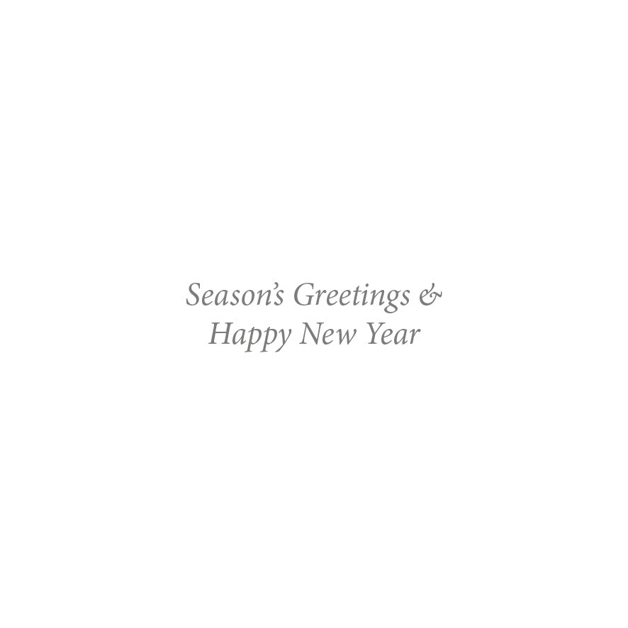 In the Winter Garden - Christmas Card (10 pack)