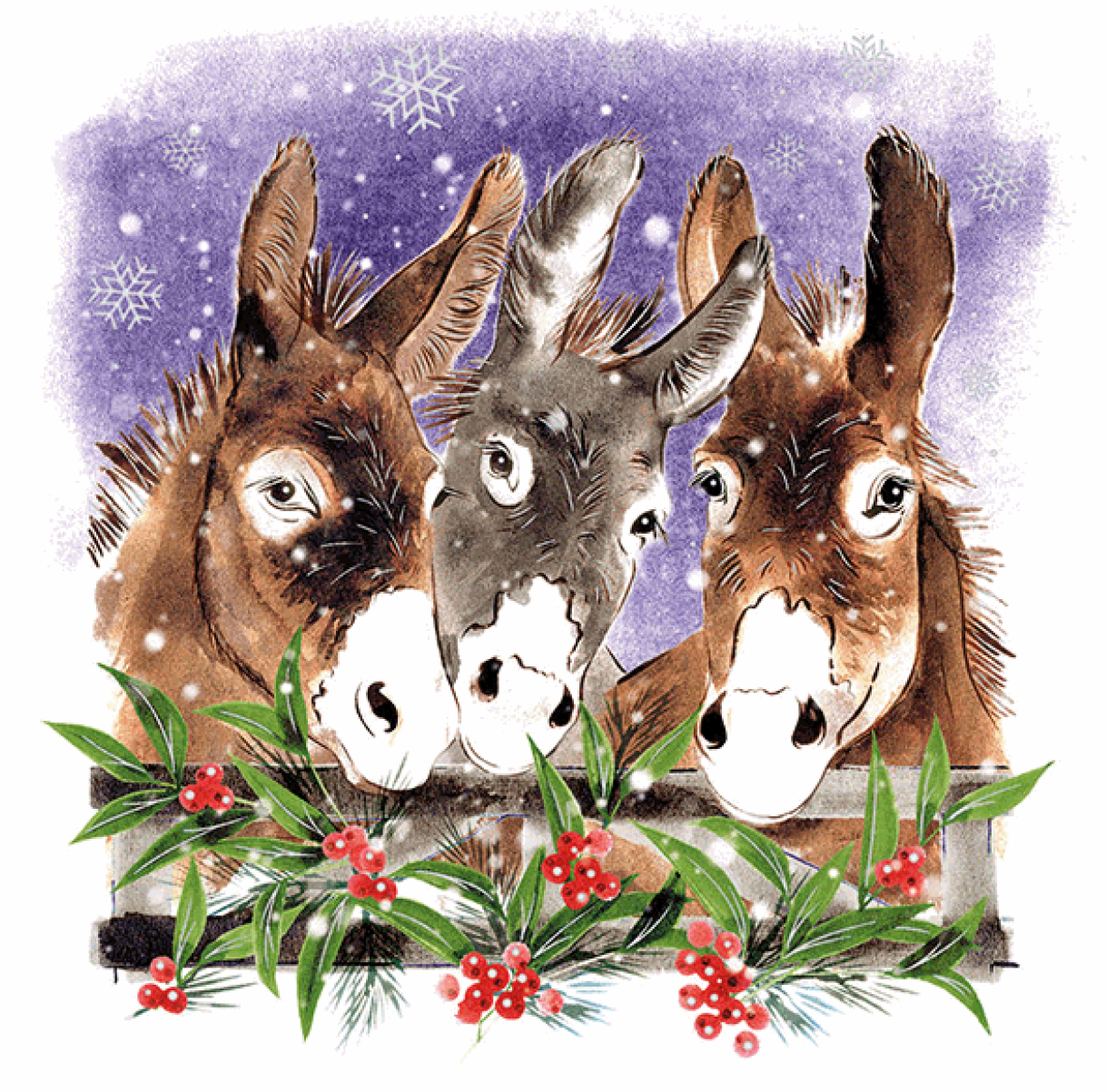 Donkey Friends - Christmas Card (10 pack)