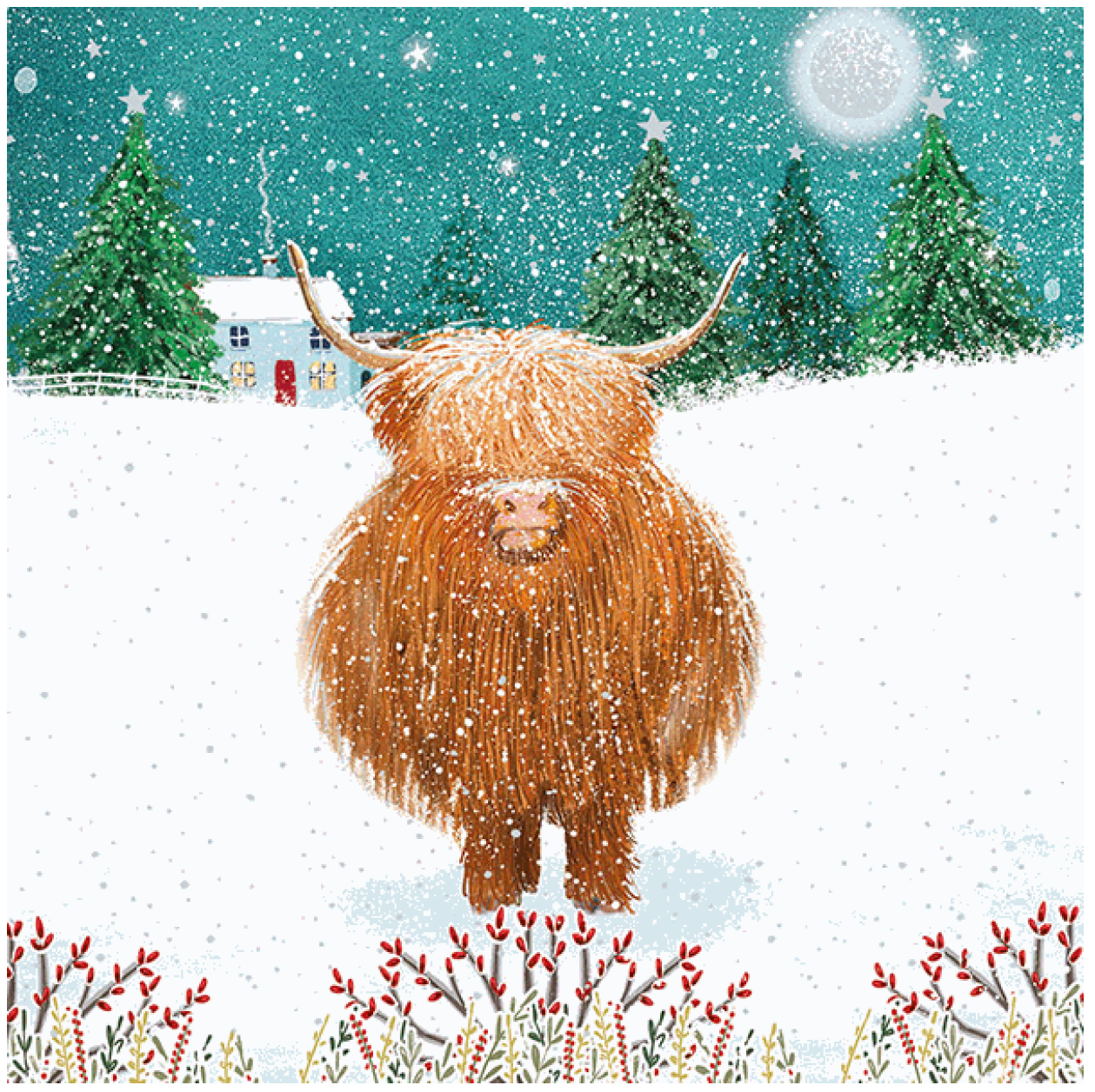 Fluffy Highland Cow - Christmas Card (10 pack)