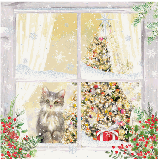 Kitten at the Window - Christmas Card (10 pack)
