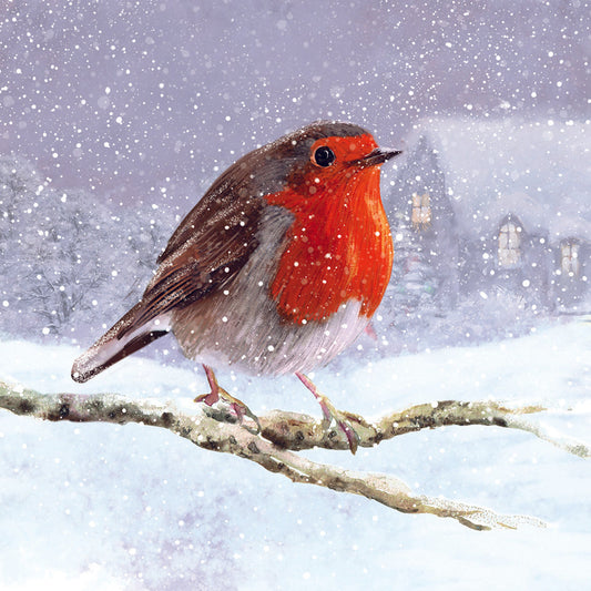 Village Robin - Christmas Card (Welsh Language - 10 pack)