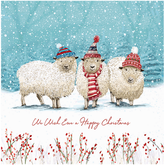 We Three Sheep - Christmas Card (10 pack)